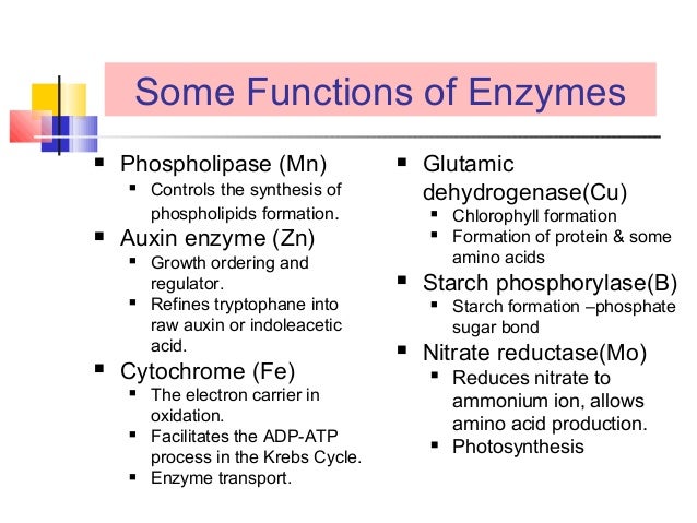 enzymes in living tissues Catalase is an enzyme that is found in all living tissues cells need catalase in order to function properly. enzymes in living tissues Catalase is an enzyme that is found in all living tissues cells need catalase in order to function properly.