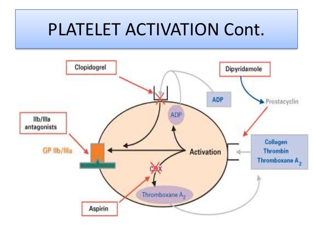 「platelet ASA」的圖片搜尋結果