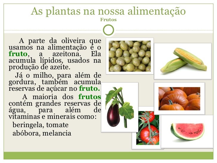 Exemplos Da Utilidade Da Vegetação Na Alimentação