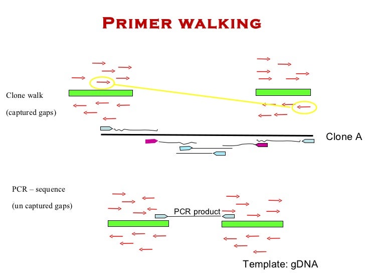Assembly and finishing