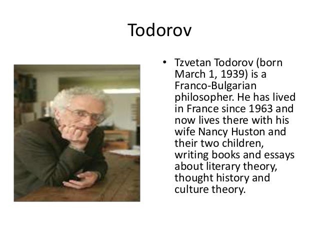 Todorov theory of equilibrium picture