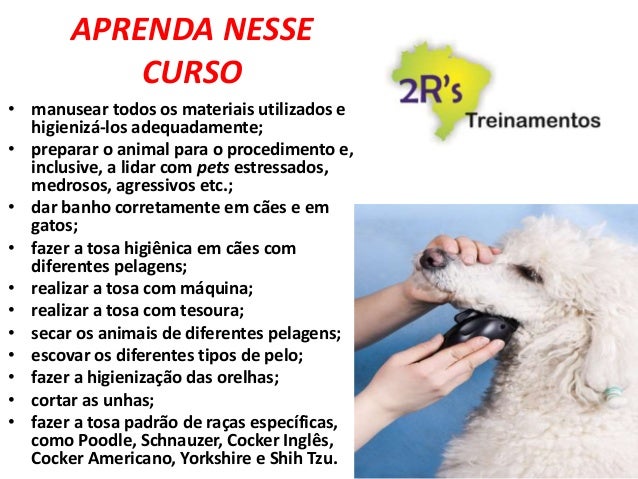 Curso de banho e tosa online