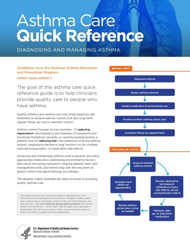 Bupa Brand Guidelines Pdf : Programs