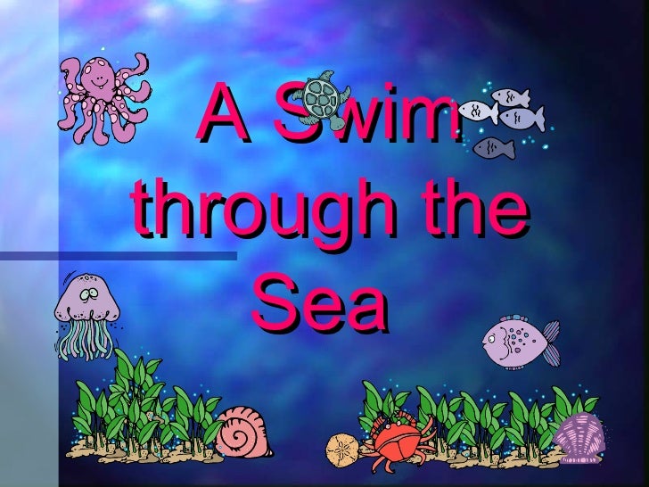 A Swim Through The Sea!