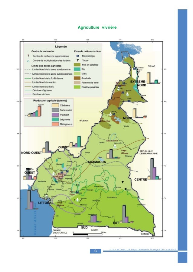 Positionnement géographique des activités économiques du Cameroun