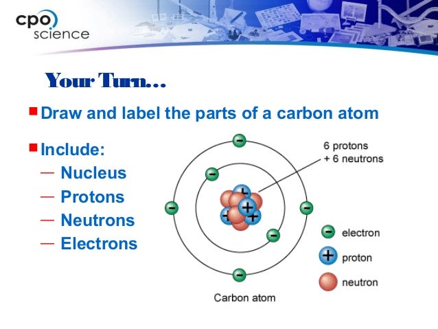 Atom Diagram Labeled Visual Diagram