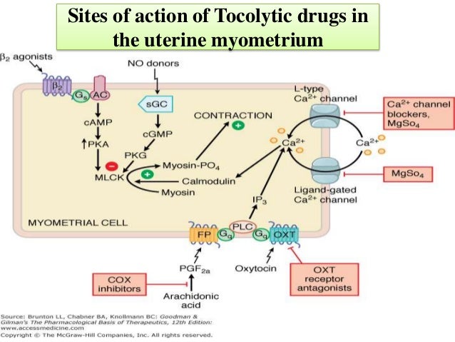 kidney failure give up of life