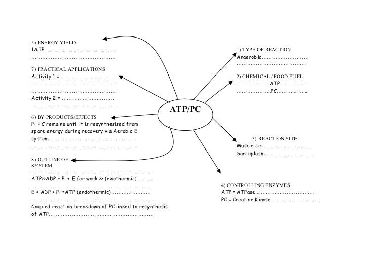 Atp pc handout