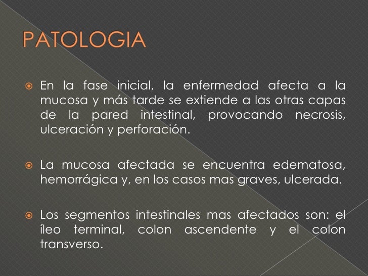 Adelgazamos con la alimentación disociada