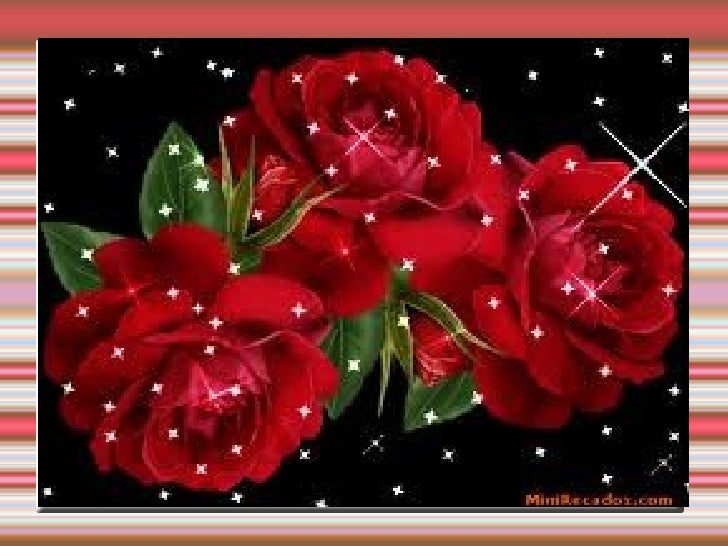    25.03. .   LiveInternet -   -