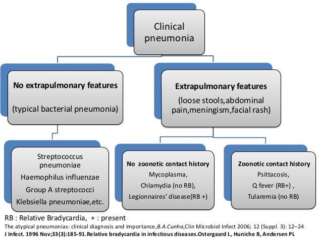 How to Diagnose a Rash recommendations How to Diagnose a Rash forecasting