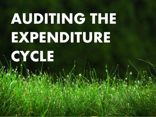 the expenditure cycle Learning objectives explain the basic business activities and related information processing operations performed in the expenditure cycle discuss the key. the expenditure cycle Learning objectives explain the basic business activities and related information processing operations performed in the expenditure cycle discuss the key.