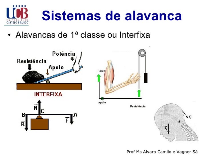 Exemplo De Alavanca Interfixa No Corpo Humano