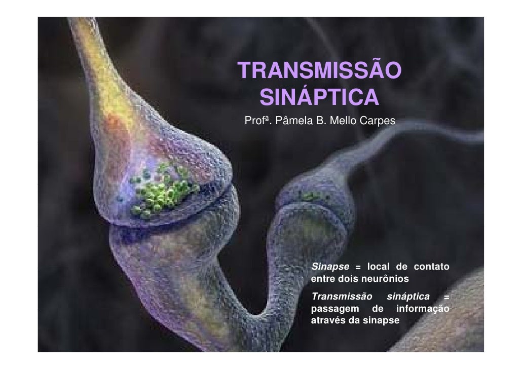 A Transmissao Sinaptica E Um Tipo De Sinalização