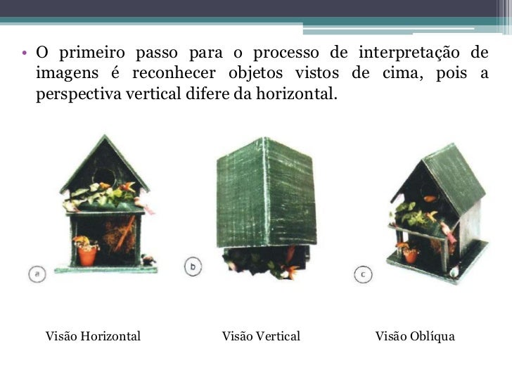 Atividades Sobre Visão Frontal Obliqua E Vertical 2 Ano