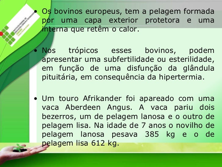 O pigmentary nota em um íris de olho do olho