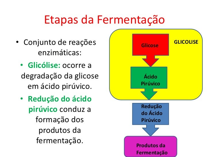 Aula 4 fermentação