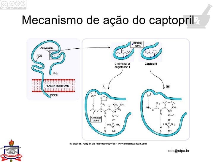 Aula 4 Medicina