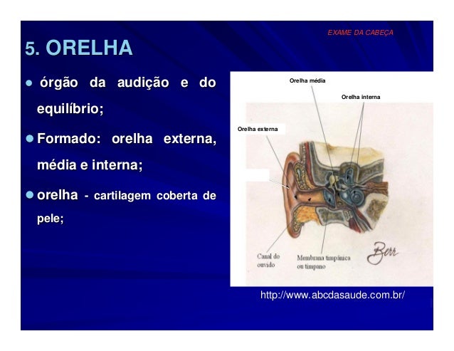Exame da cabeca