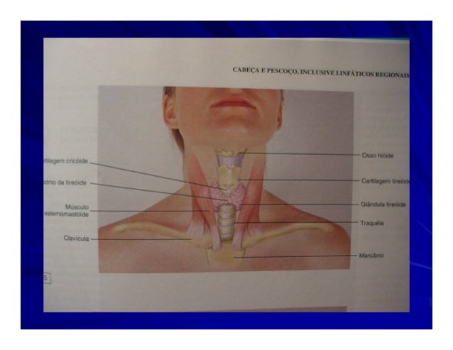 Exame das carotidas