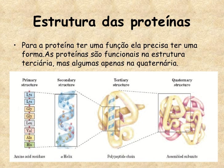 Aula Proteinas