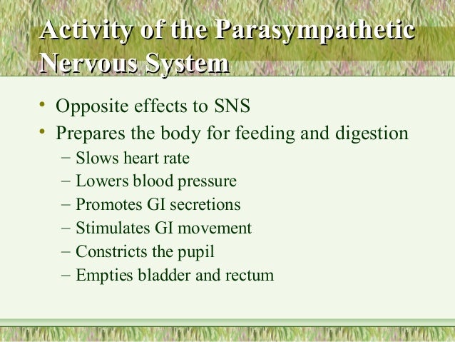 metformin and rash metformin and rash