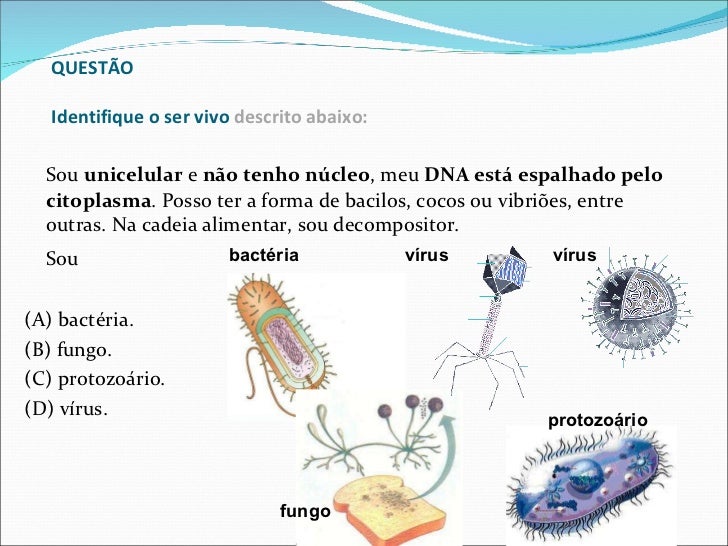 Explique O Processo Pelo Qual Essas Bactérias Serão Eliminadas