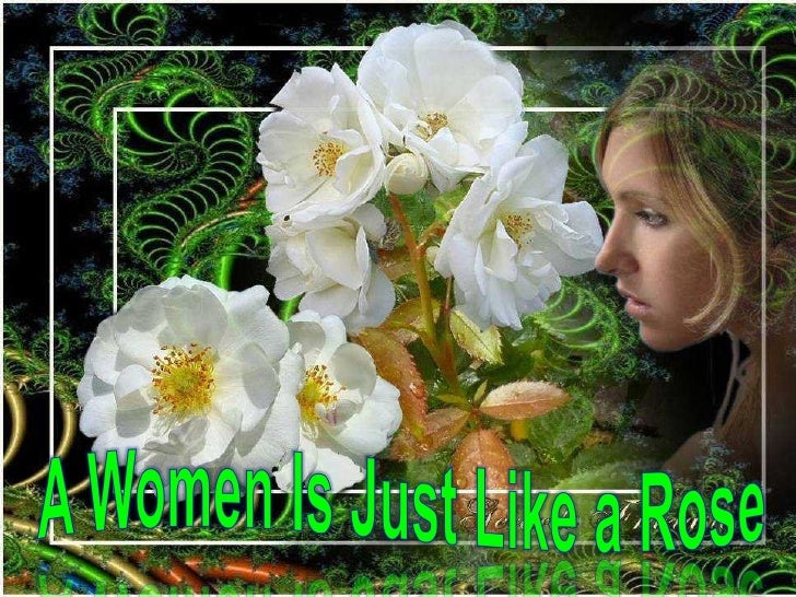 A Women Is Just Like A Rose