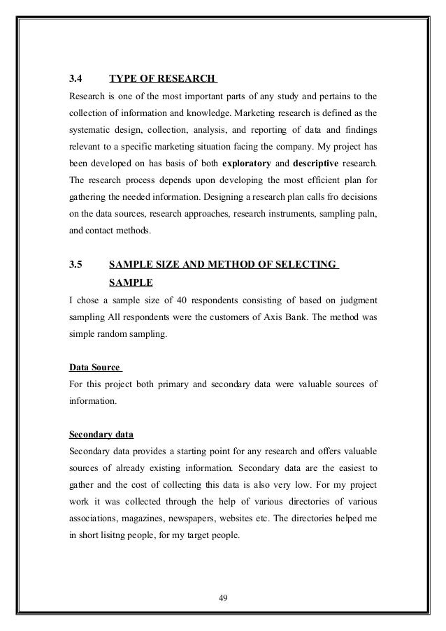 Essay Program