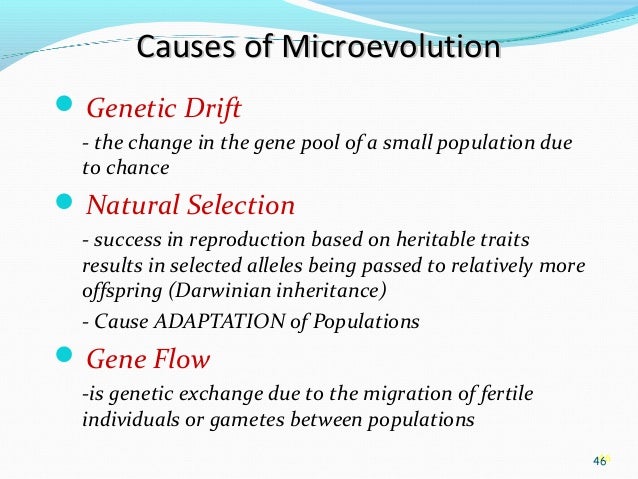 Comparison Between Genetic Drift And Natural Selection Comparison Between Genetic Drift And Natural Selection