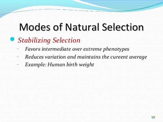 Natural Selection That Favors Extreme Over Intermediate Phenotypes Natural Selection That Favors Extreme Over Intermediate Phenotypes