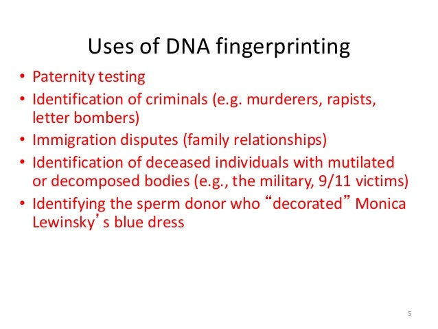 Dna Essay