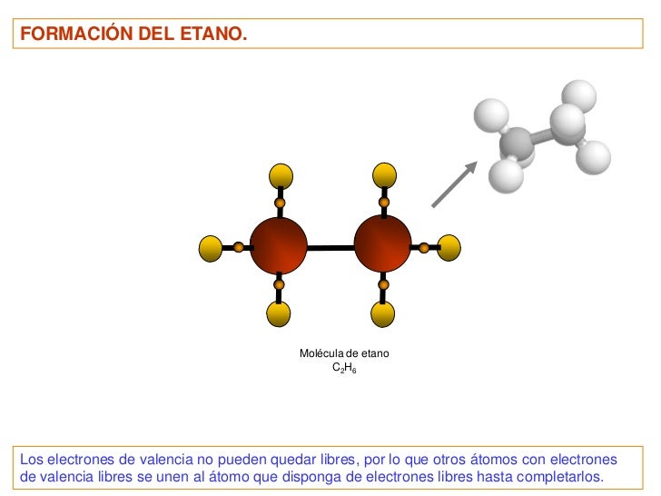 Biomolecules PDF