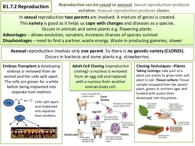 coursework biology gcse Gcse biology coursework help, - grade 3 creative writing activities we are most trusted custom-writing services among students from all over the world since we were. coursework biology gcse Gcse biology coursework help, - grade 3 creative writing activities we are most trusted custom-writing services among students from all over the world since we were.
