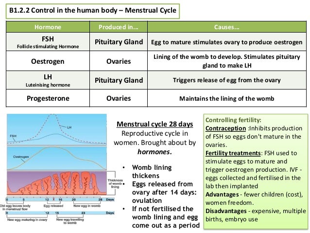 AQA GCSE Science: Biology B1 Revision