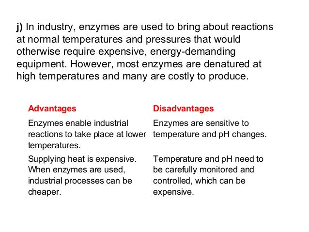 Why Are Enzymes Used For In Baby Food Why Are Enzymes Used For In Baby Food
