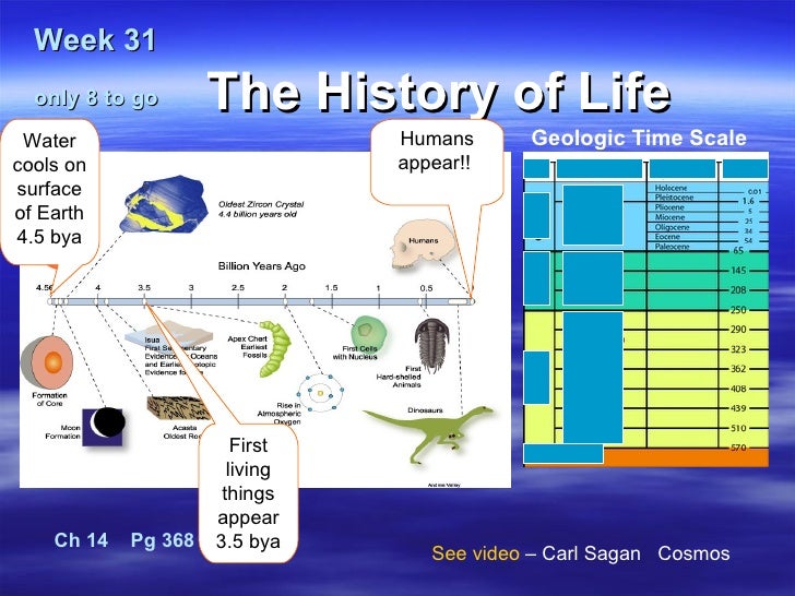 Understanding Evolution Natural Selection Understanding Evolution Natural Selection