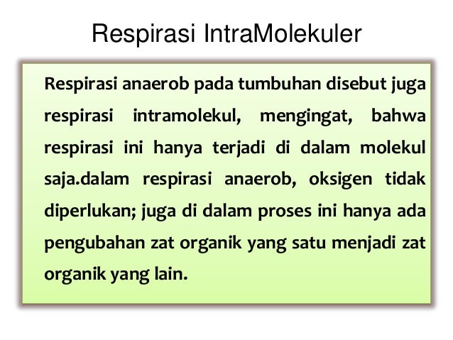 Asal Oksigen Dalam Fotosintesis  teori evolusi biologi 