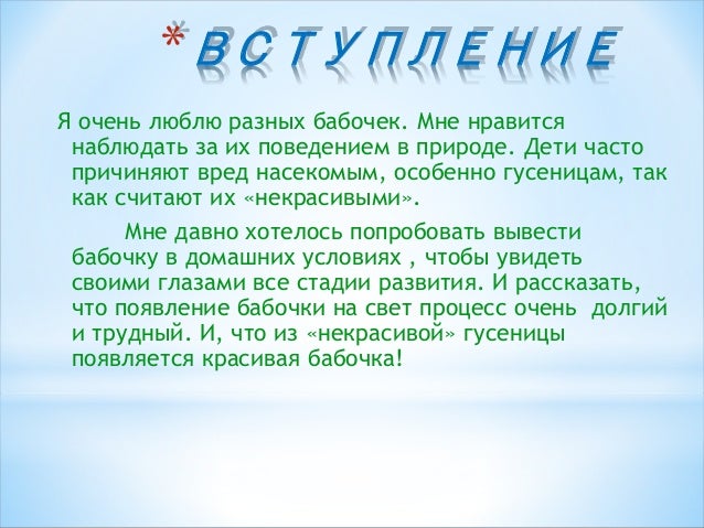 Бабочка махаон в домашних условиях Бабочка махаон в домашних условиях