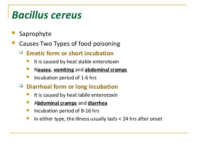 Bacillus Cereus Food Poisoning Onset Bacillus Cereus Food Poisoning Onset