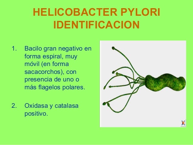Que es la Tromboflebitis superficial, síntomas y causas. Que es la Tromboflebitis superficial, síntomas y causas.