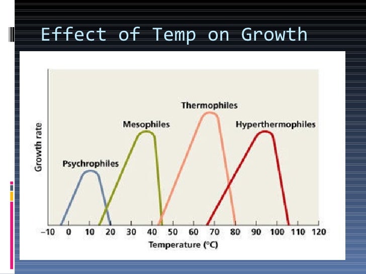 Bacterial Growth