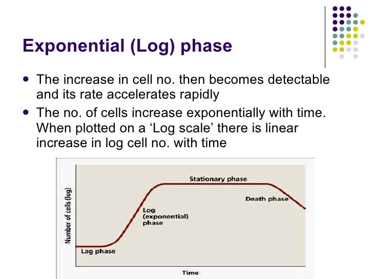 Bacterial Growth And Metabolism