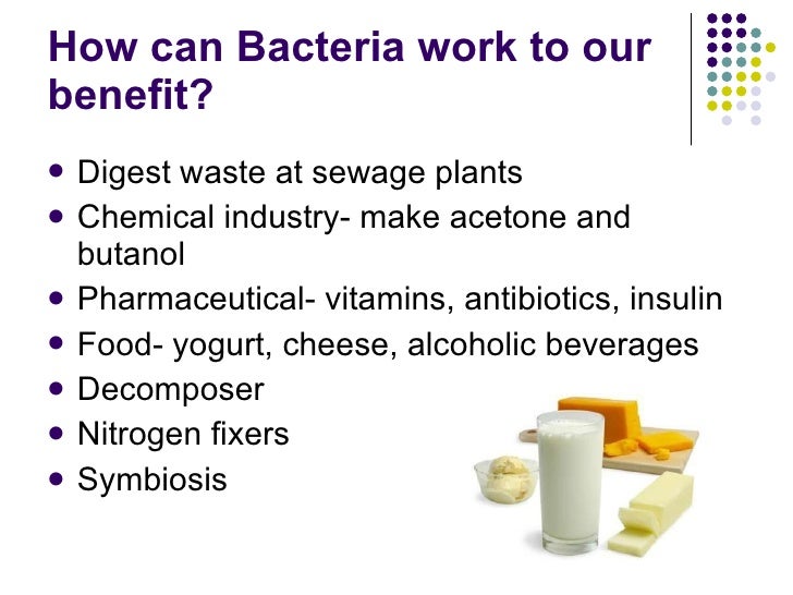 Bacteria Power Point