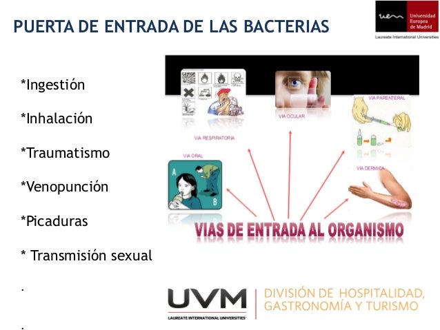 Bacterias generalidades