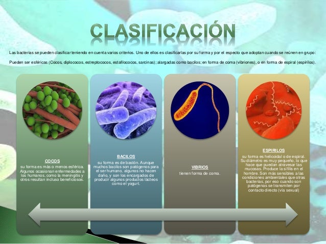 Bacterias y virus. cesar toro 19.264.820 Bacterias y virus. cesar toro 19.264.820