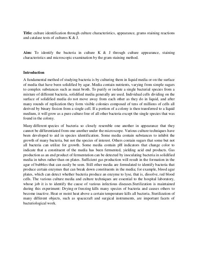 bacteriology lab report bacteriology lab report