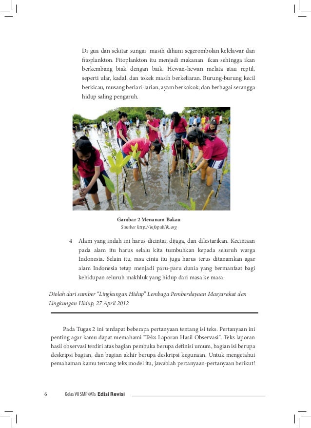 Laporan Hasil Observasi Hewan - Contoh Three