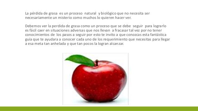 Como Bajar De Peso Guia