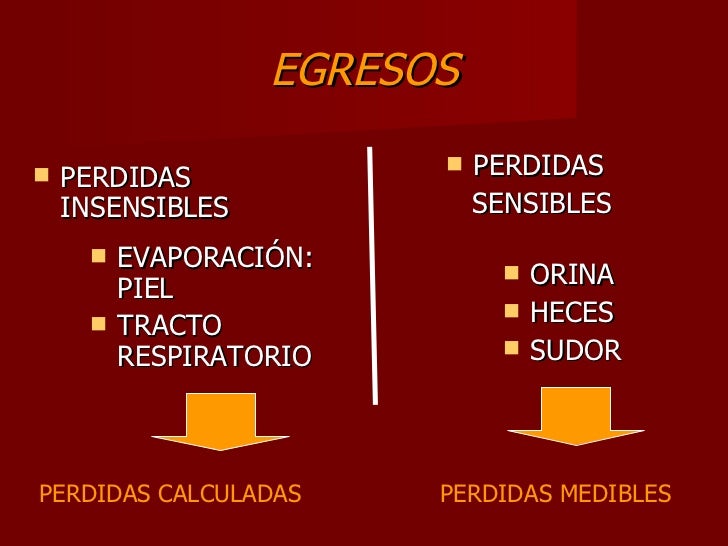 Como Calcular Las Perdidas Insensibles En Adultos es.slideshare.net